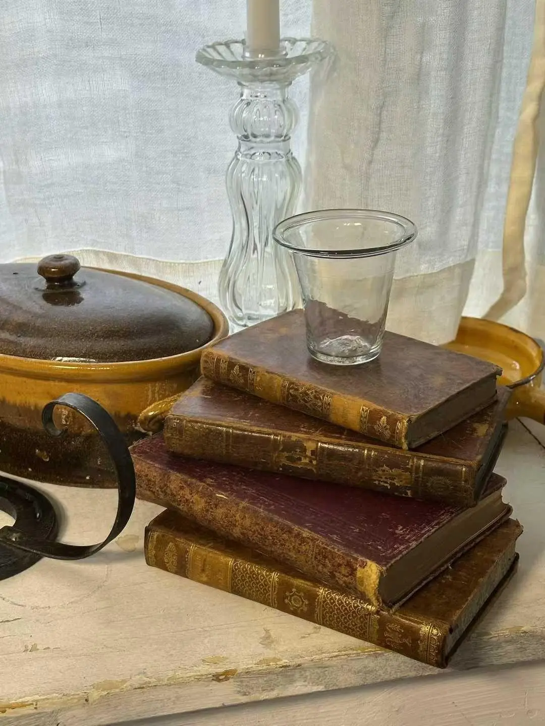 Collection of French Antique and Vintage Books