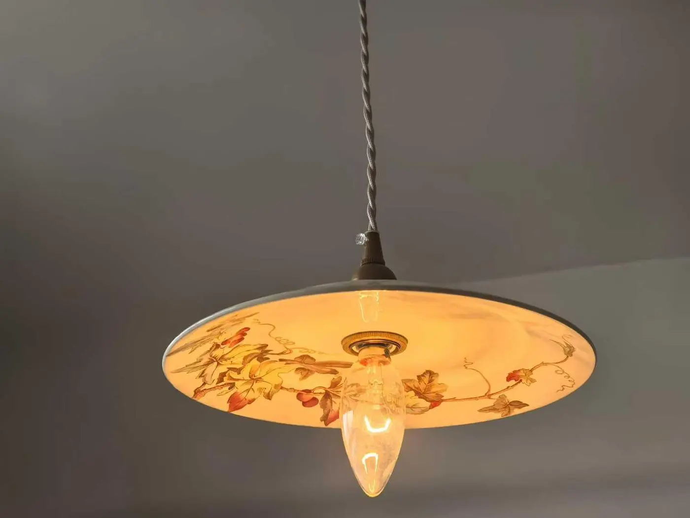 French Antique Grape-Vine Plate Pendant Light, 22.5 cm Diameter