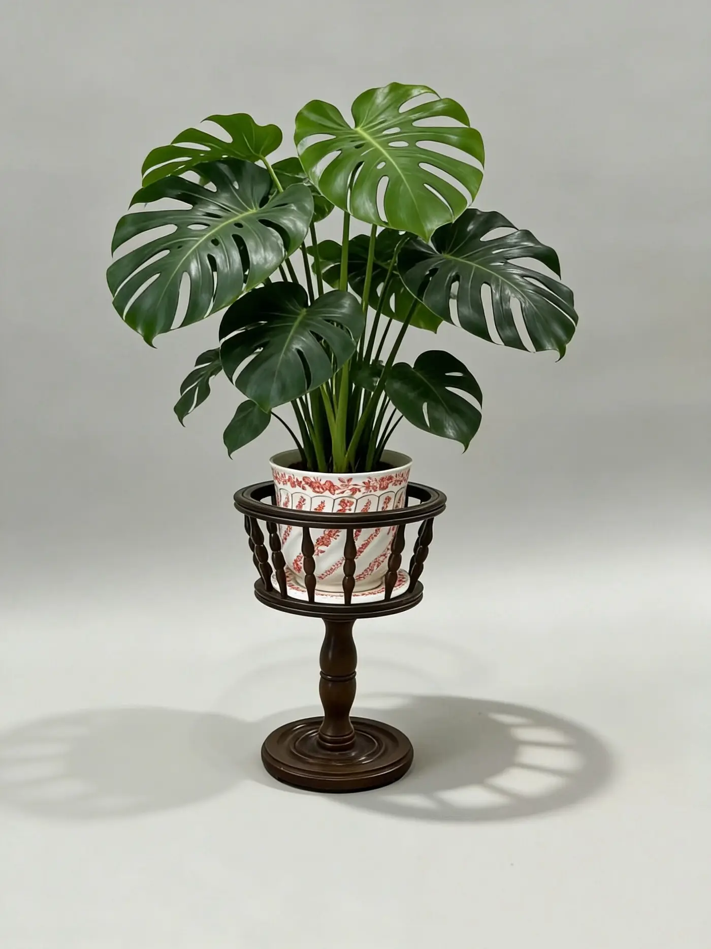 French Louis-Philippe Dark Beech Plant Stand, Late 19th–Early 20th Century