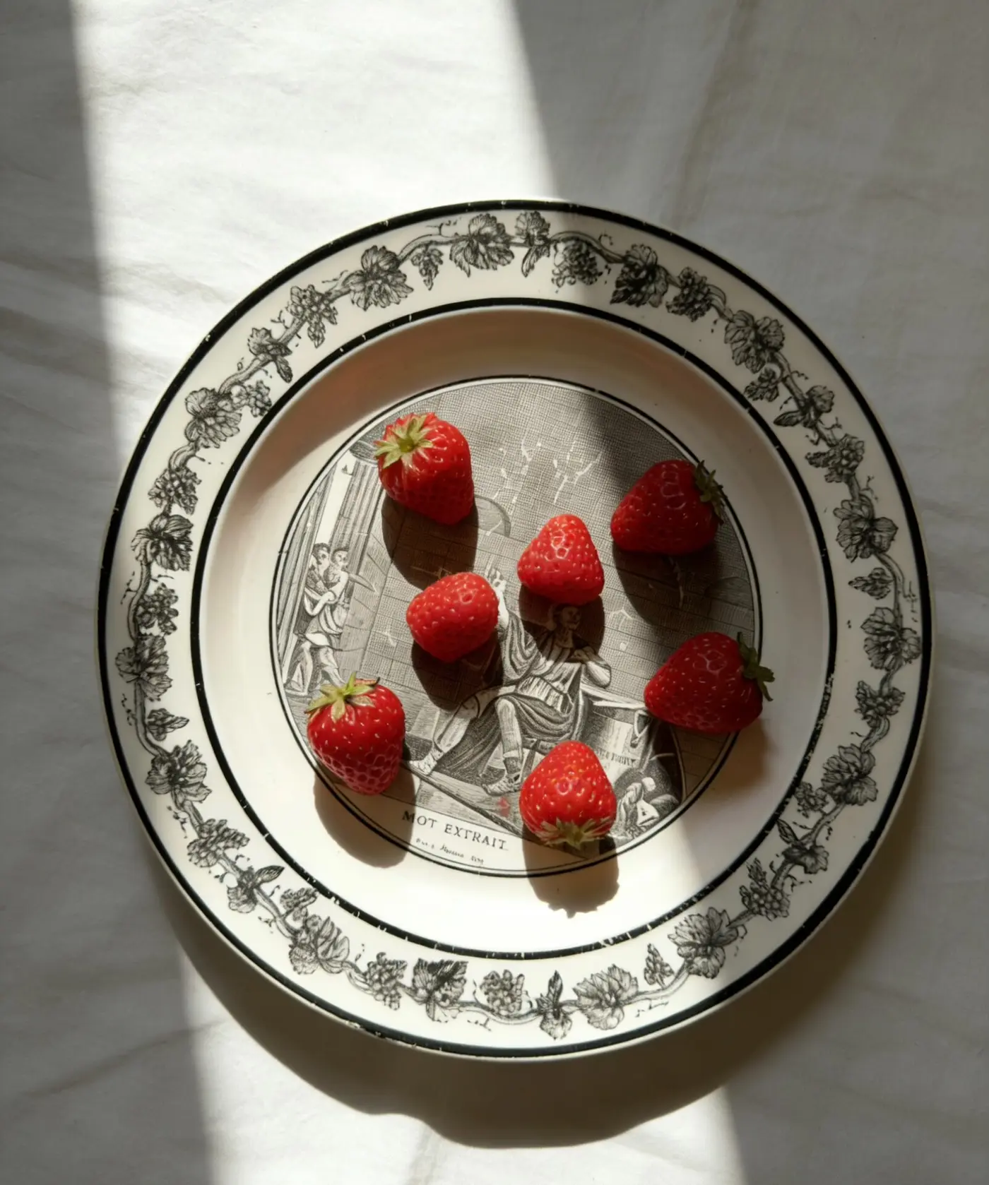 French Vintage Decorative Hanging Plate