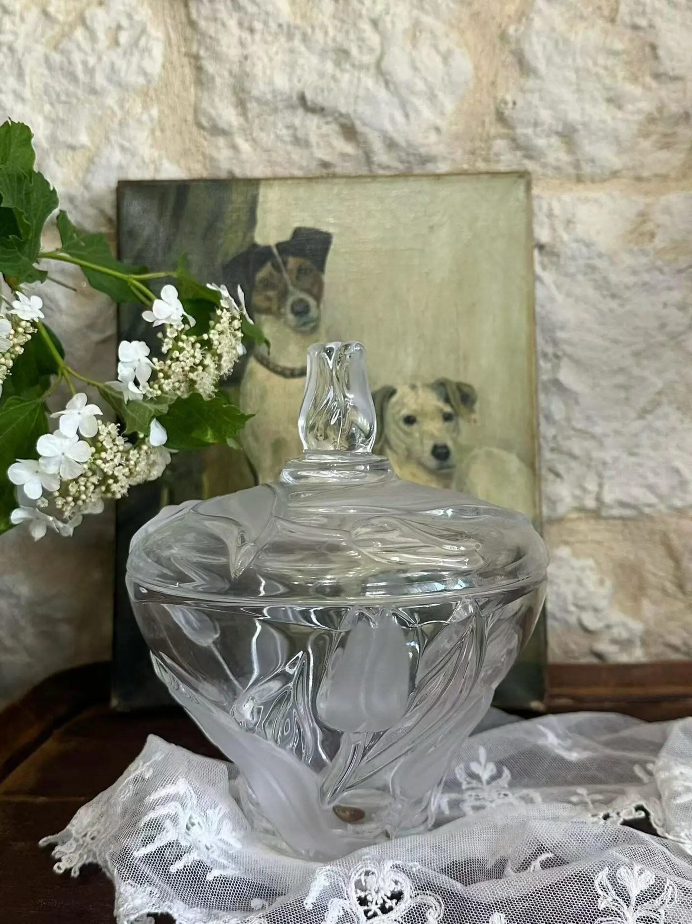 Walther Glas Tulip Relief Crystal Jar, Germany (1980s–1990s) with Original Label, Ø15.8 cm