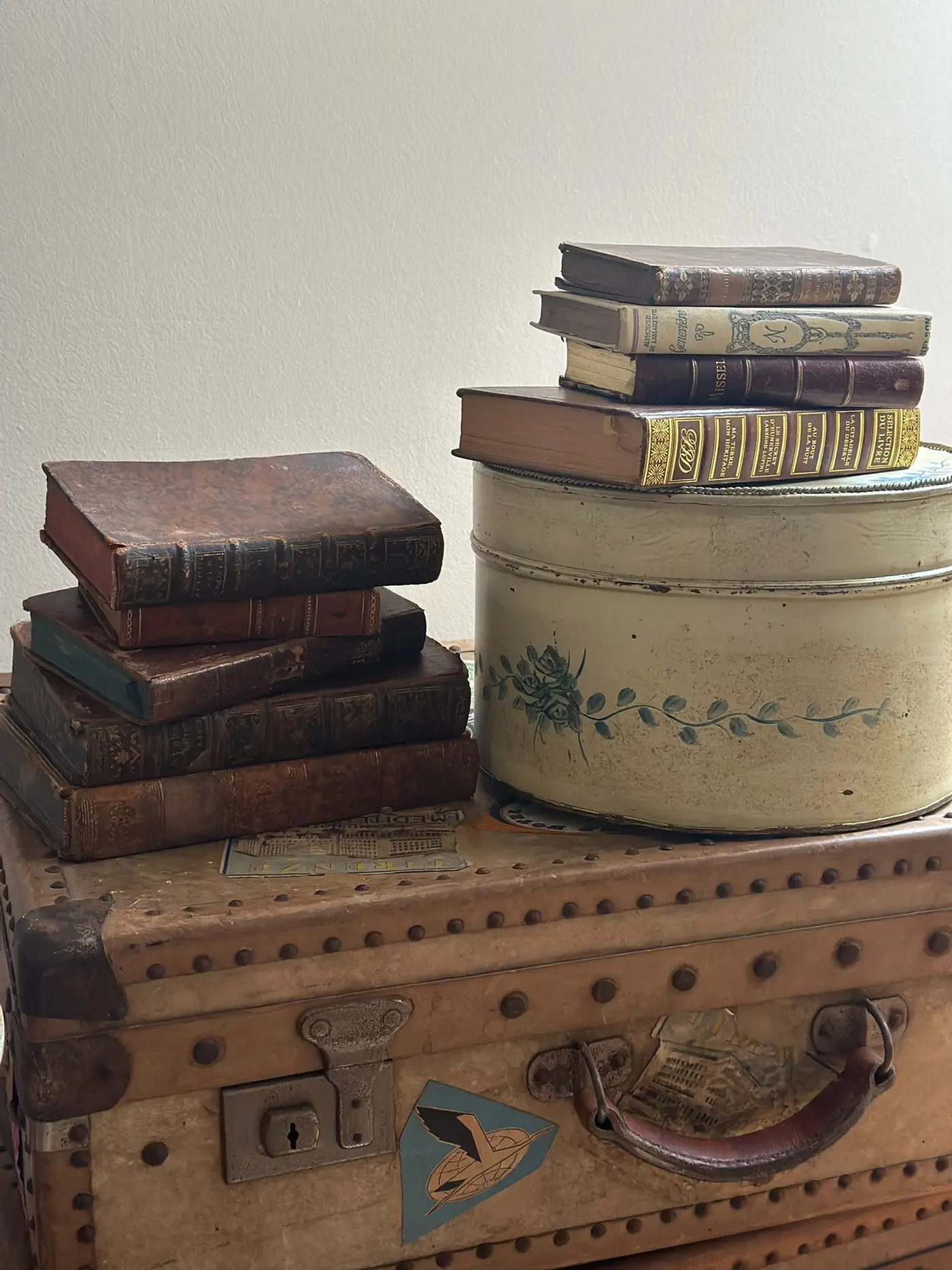 Collection of French Antique Leather-Bound Books