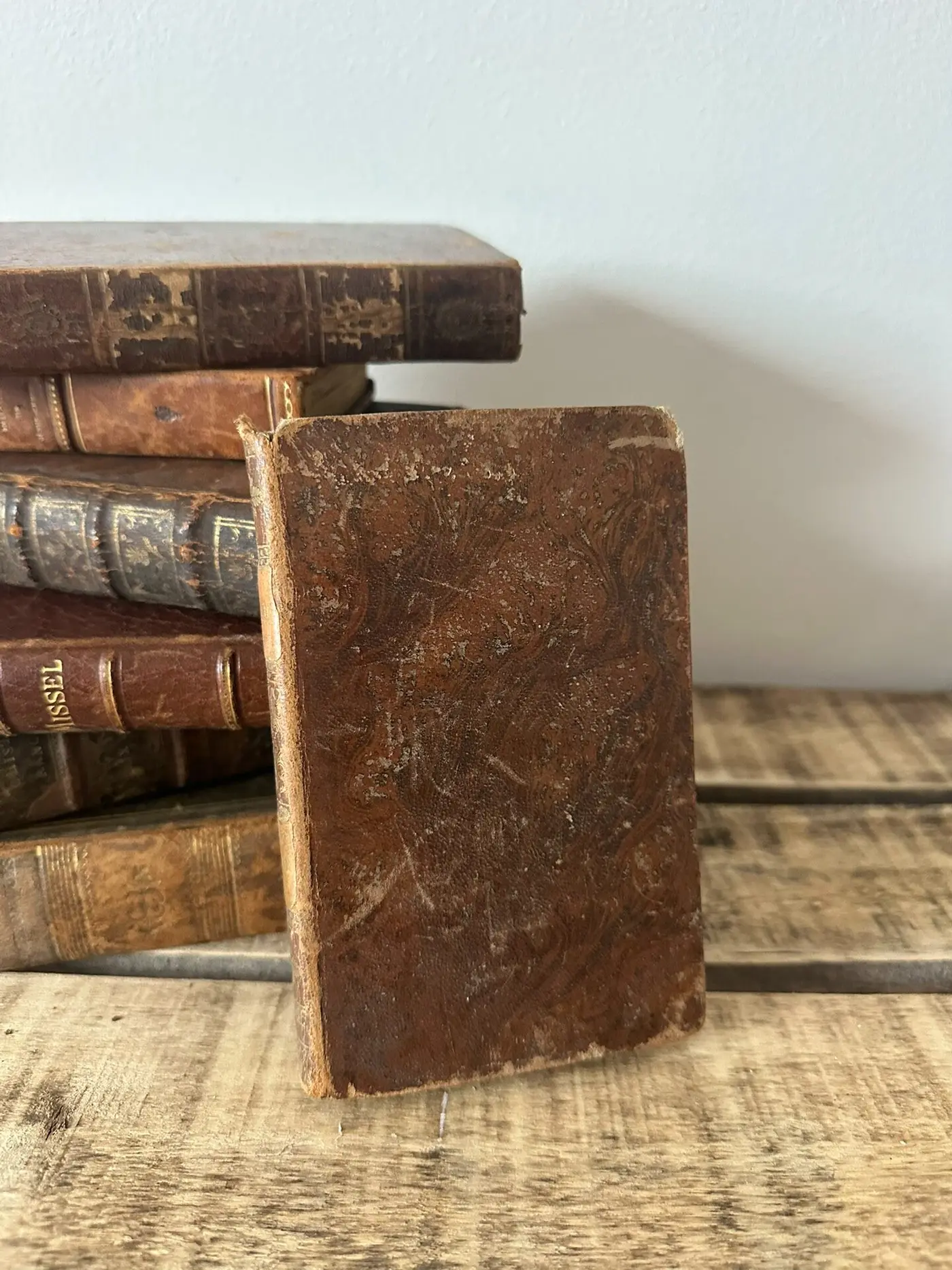 French Antique Leather Book with Embossed Botanical Cover, Small Format