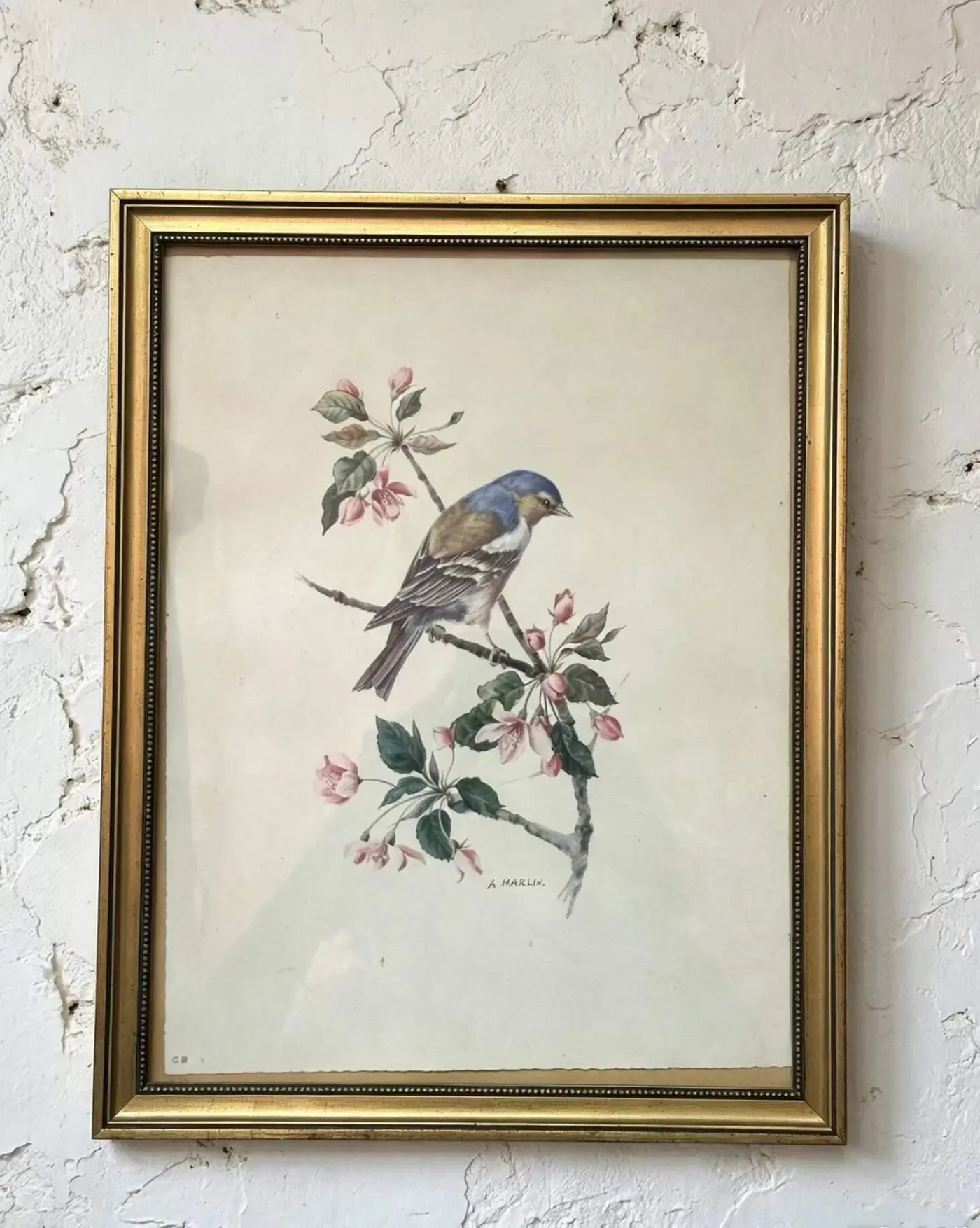 French Vintage Floral and Bird Print in Gilt Frame
