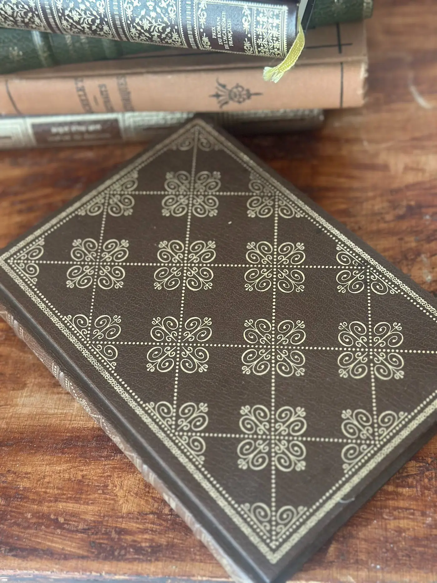 Vintage French Gilt-Stamped Hardcover — Bataille de femmes by Vicki Baum