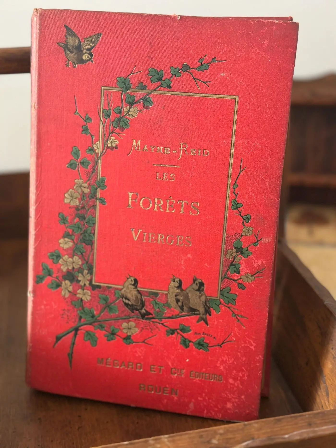 1886 French Edition "Les Forêts Vierges" Red Cloth Floral & Bird Hardcover, Illustrated