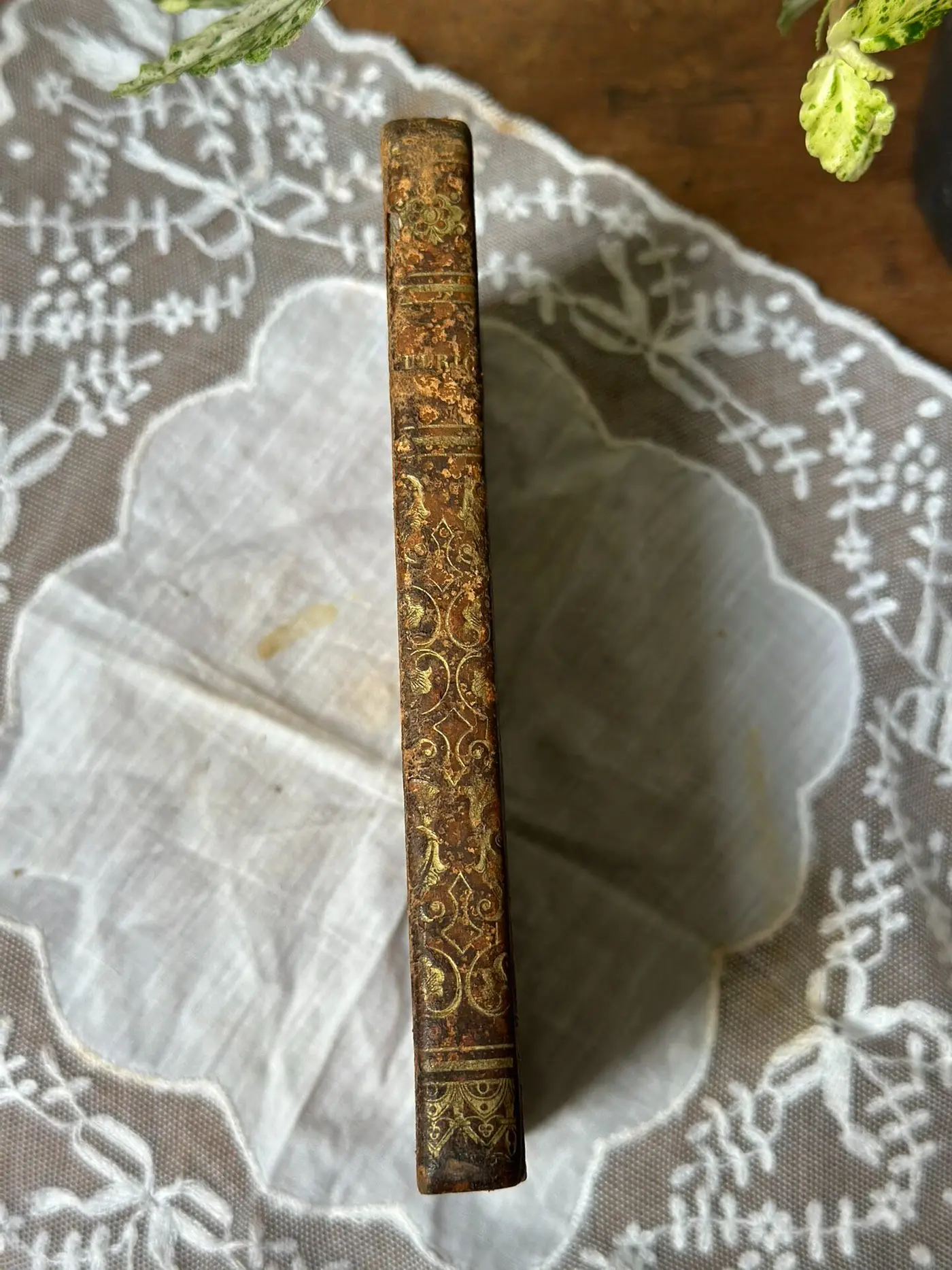 1836 Paris Edition — Antique French Leather-bound Book with Gilt Stamping