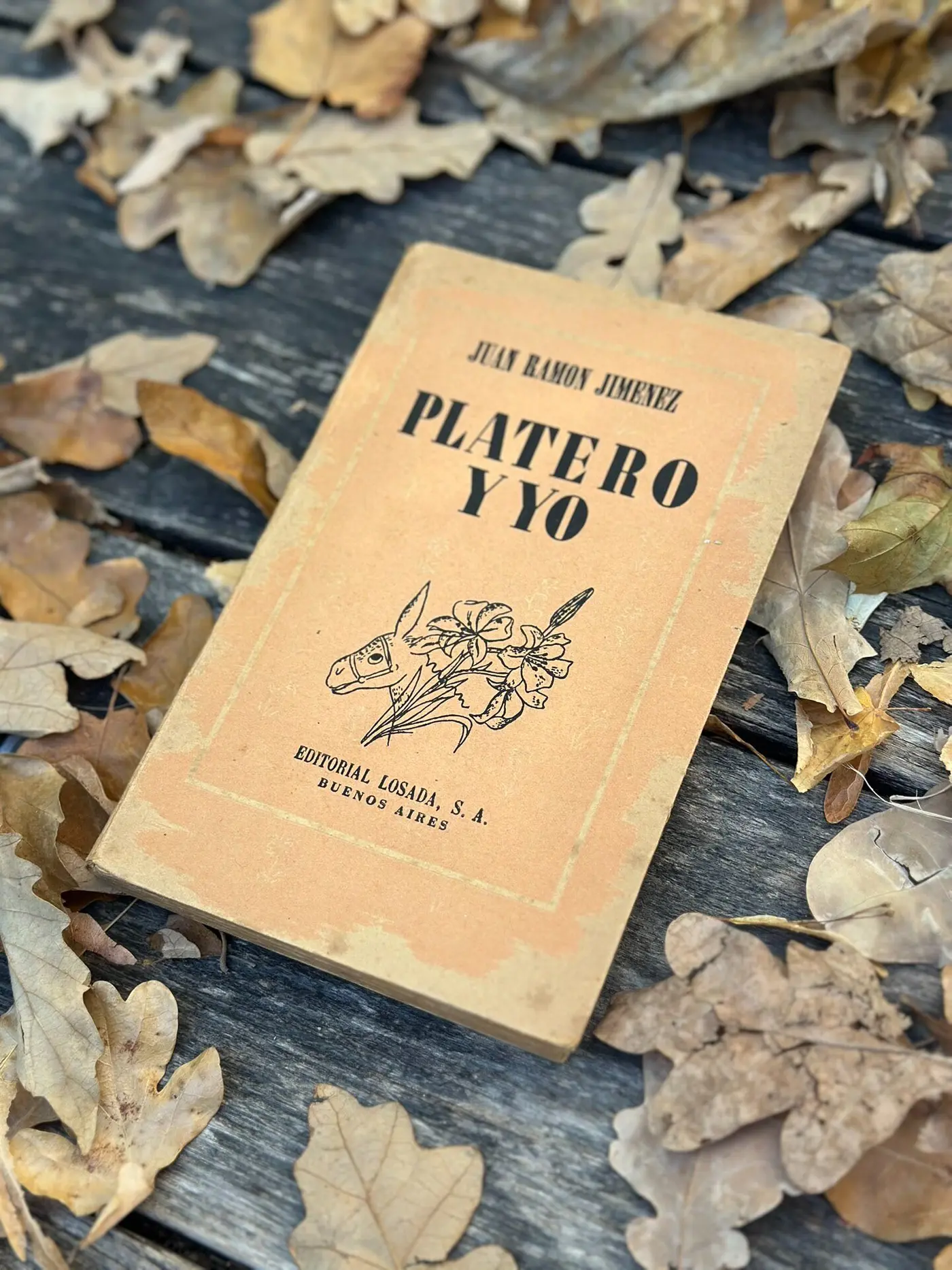 Platero y yo — Vintage Spanish Illustrated Edition by Juan Ramón Jiménez