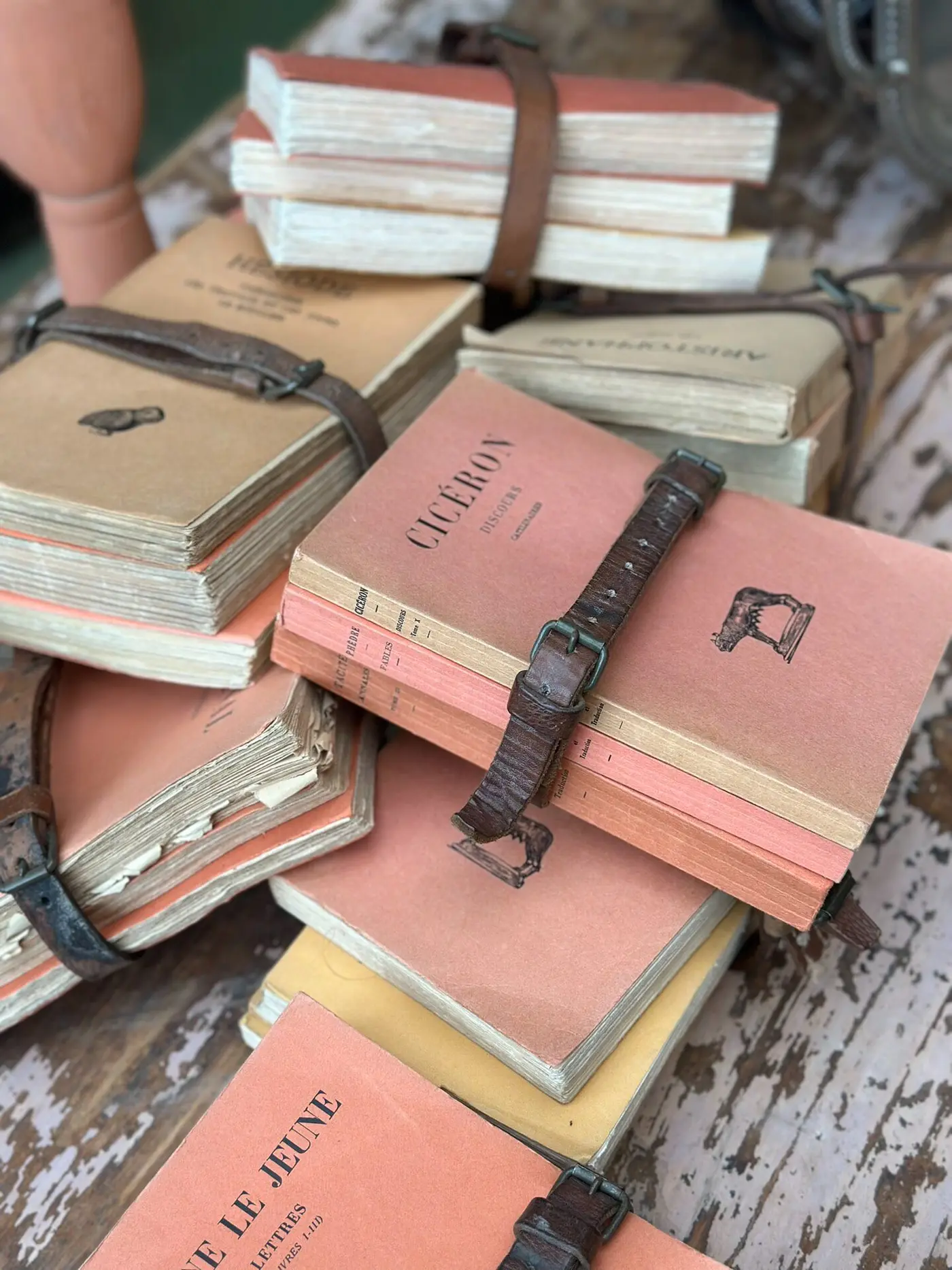 Vintage French Book Bundle with Brown Leather Strap