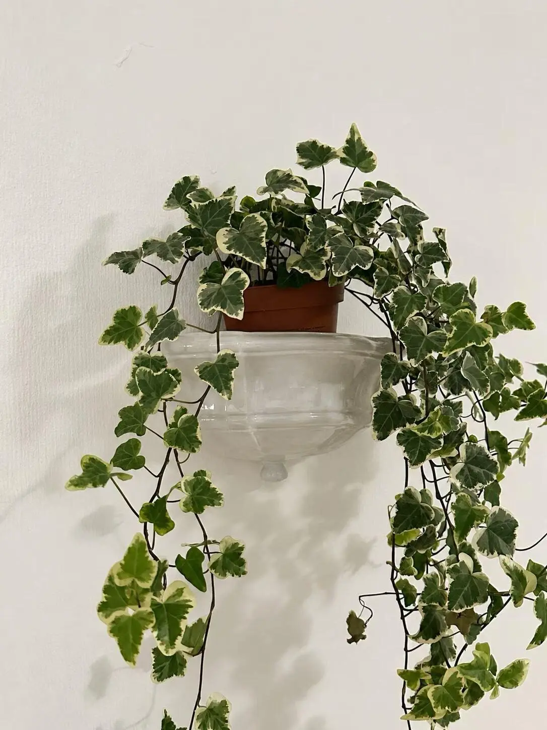 French Vintage Ceramic Wall-Mounted Planter