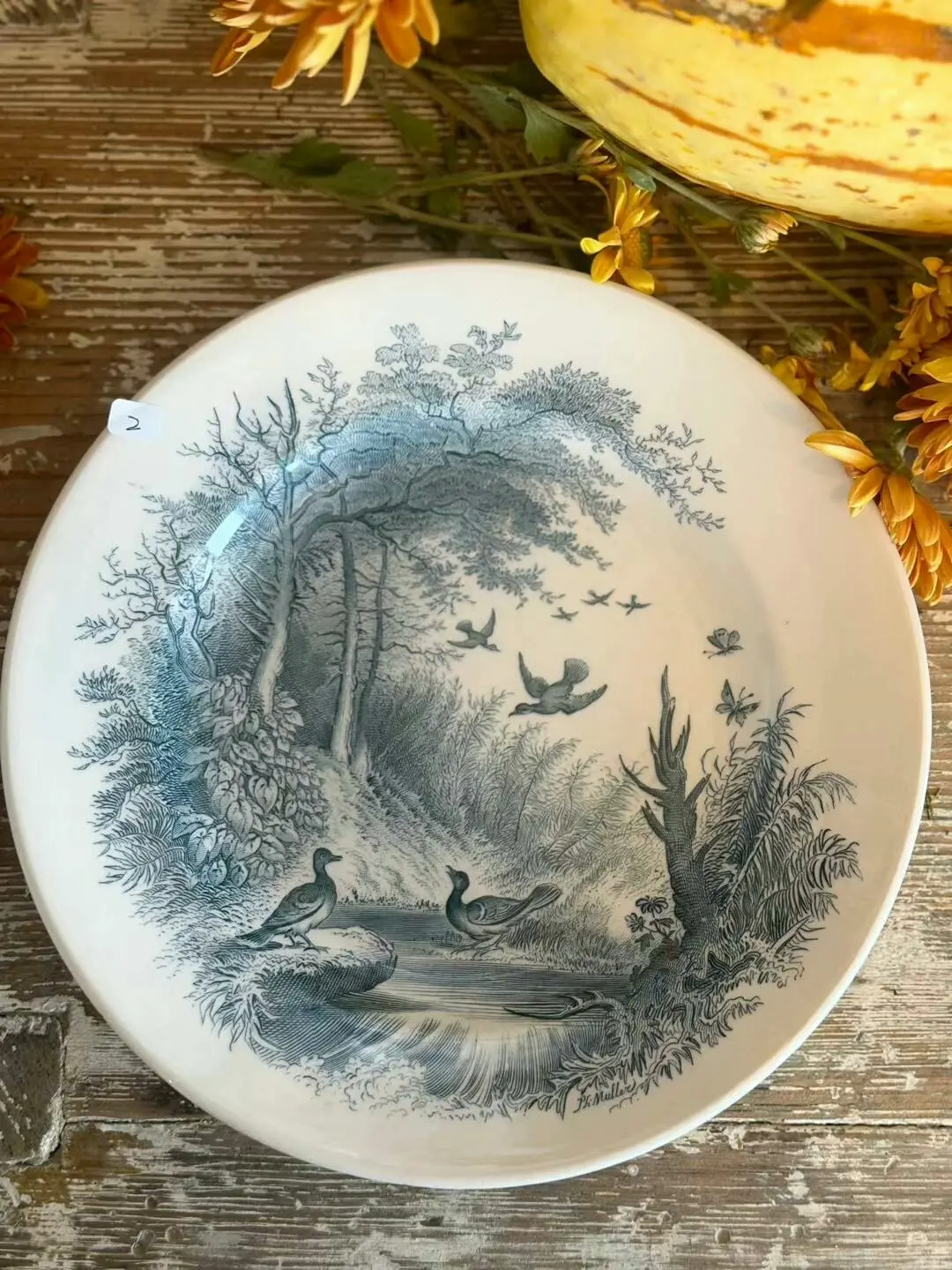 Vintage Sarreguemines Forest Series 'Wild Duck' Flat Plate, France, 22 cm