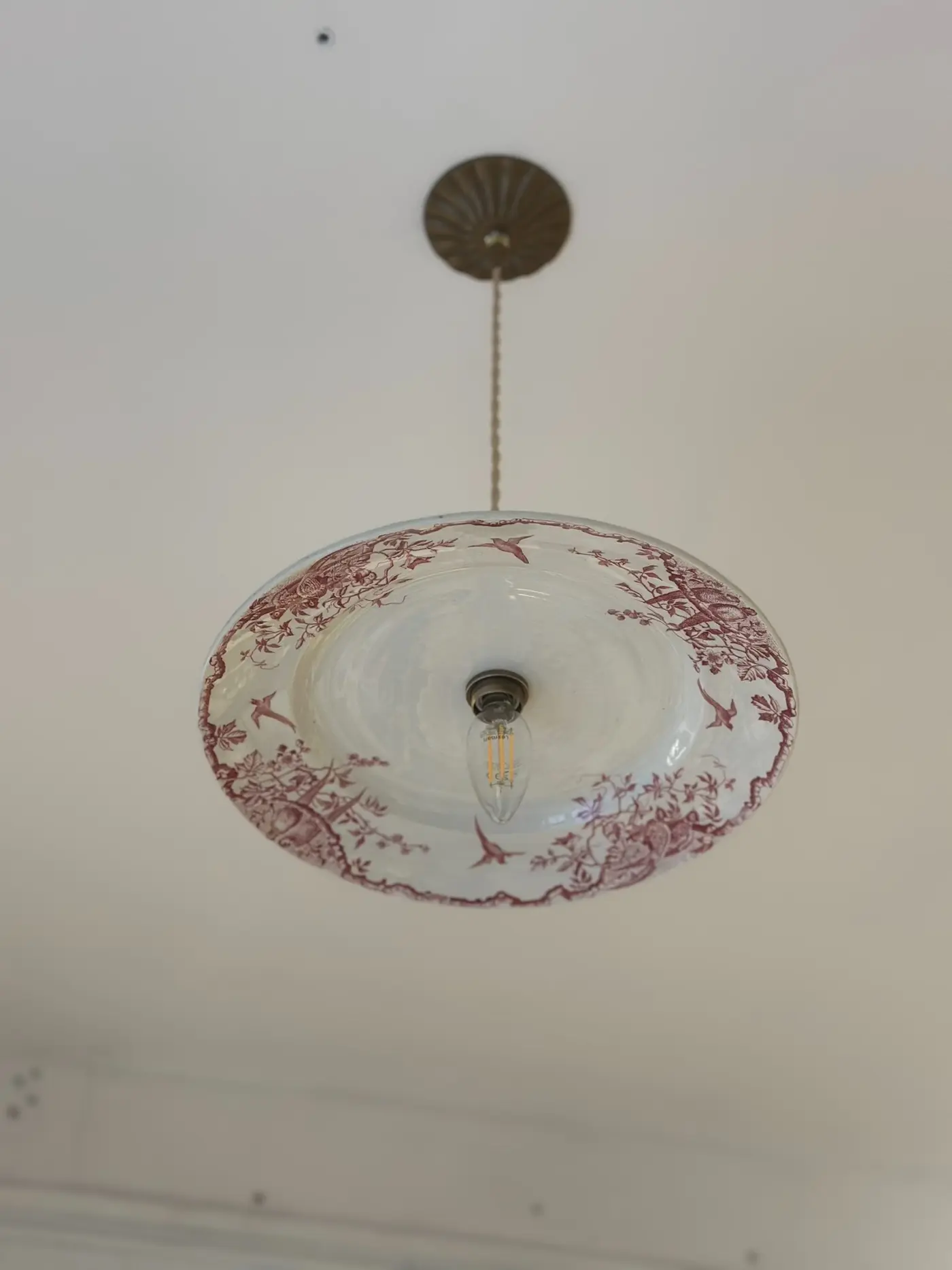 Vintage French Bird Plate Pendant Light