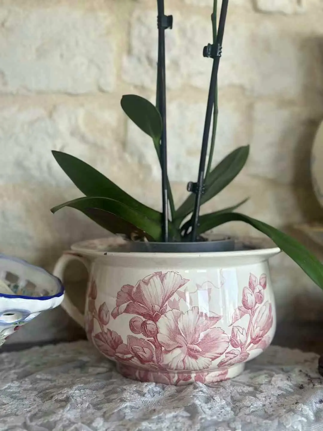 Vintage French Creil et Montereau Hollyhock Chamber Pot