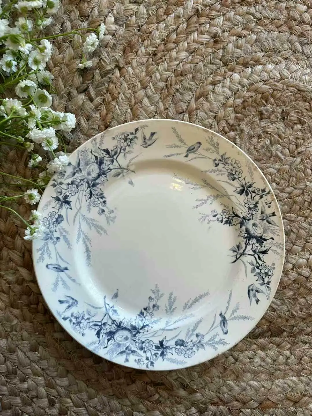 Creil et Montereau Vintage Blue Sparrow Flat Plate