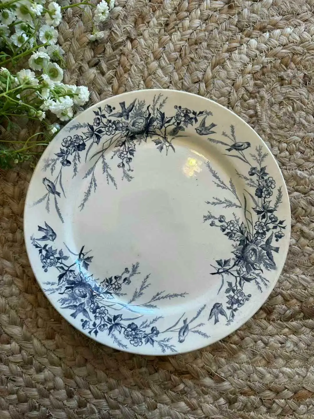 Creil et Montereau Blue Sparrow Plate, 22.8 cm
