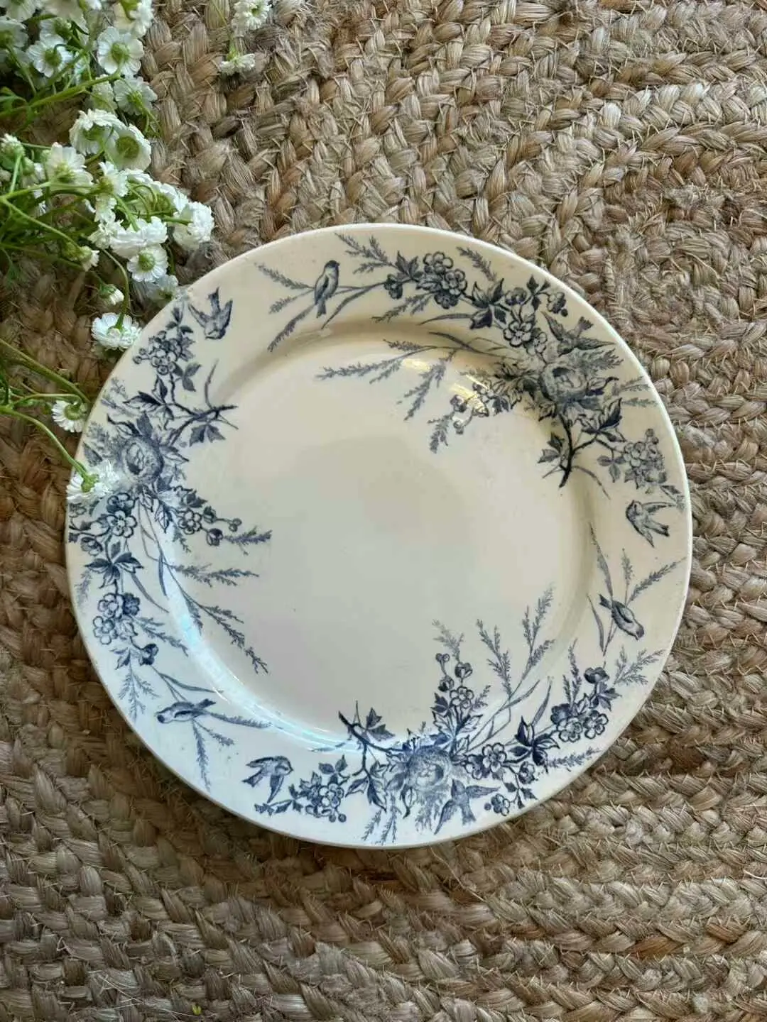 Creil et Montereau Vintage Blue Bird Flat Plate, 22.8 cm