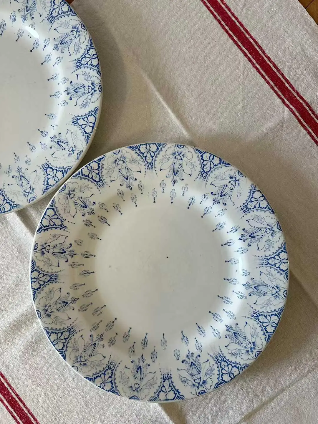 Luneville Iris Flat Plate