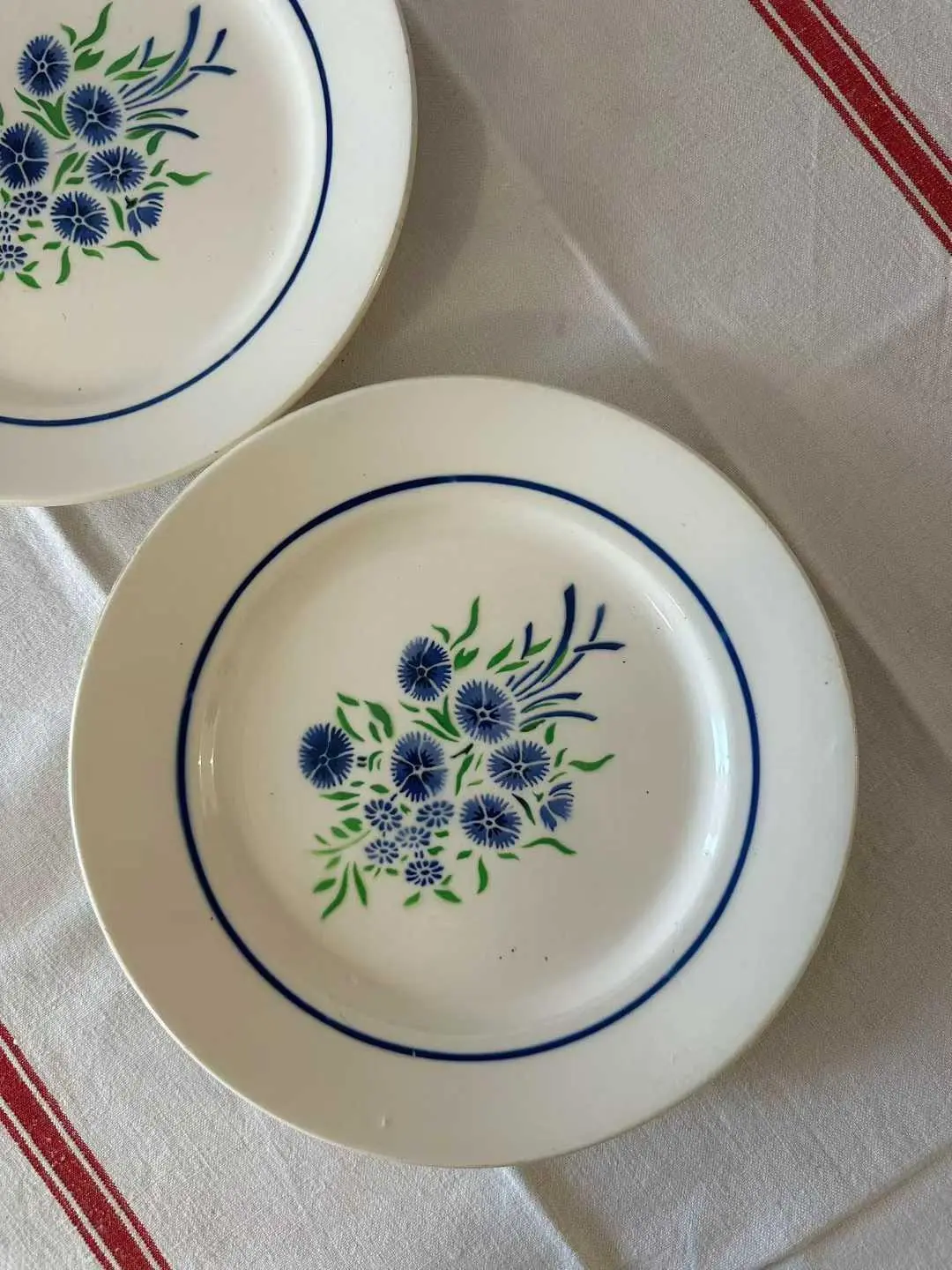 Badonviller Bouquet Flat Plate — Good Overall Condition