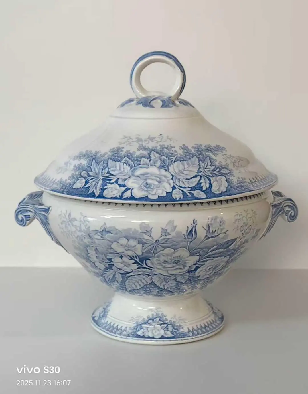 Sarreguemines Garden Series Soup Tureen, 1900